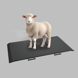 Livestock Scales 