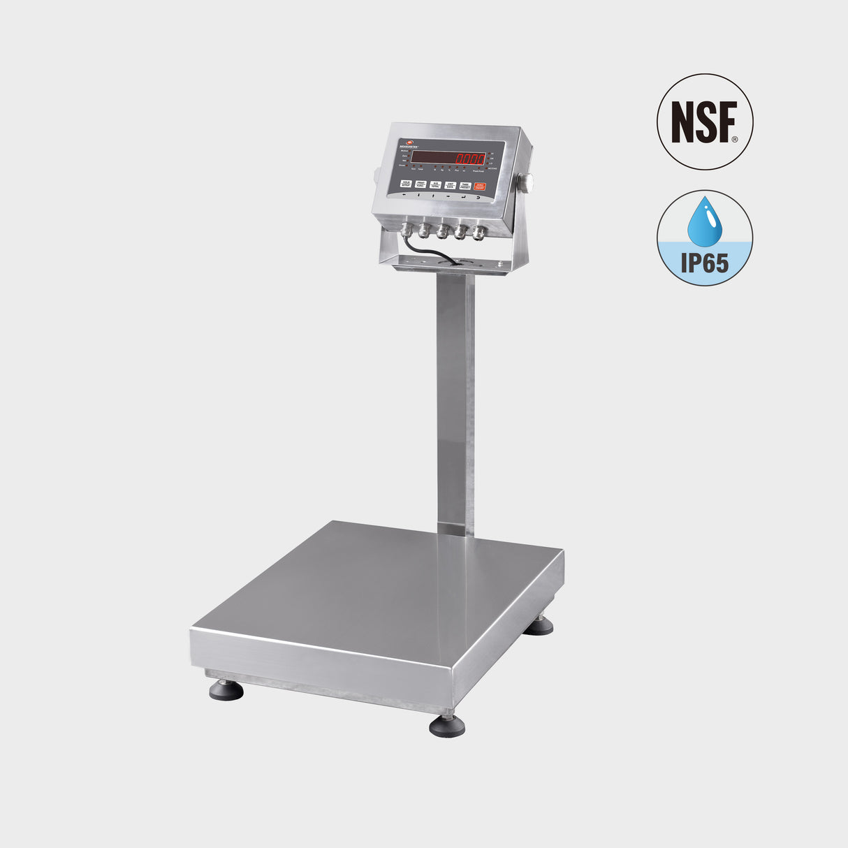 EHP-C SS Platform Scale / Stainless Steel Shipping Scale